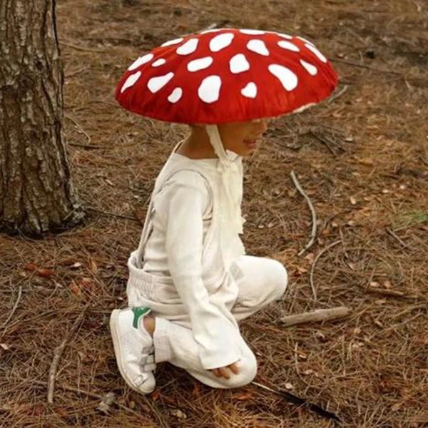 Mushroom Hat
