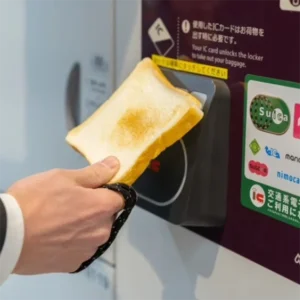 FLCF0103 Toast Bread Card Holder