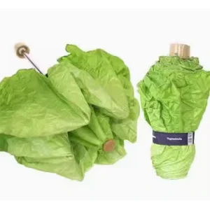 Creative Unique Lettuce-Shaped Umbrella