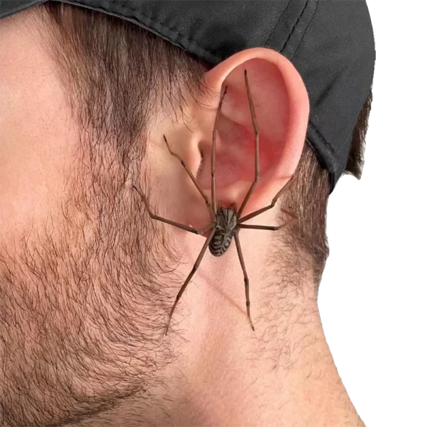 FLPO0069 Creepy Spider Earrings