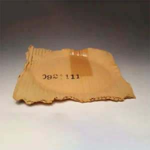 Cardboard Shaped Plates