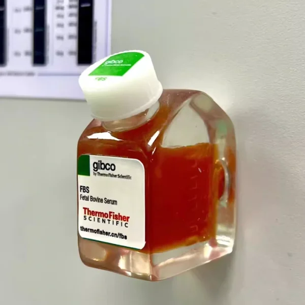 Gibco Refrigerator Magnet