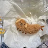 FLCDKC000043-01 Cute Tempura Shrimp Pendant Keychain
