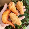 Creative Realistic Fried Chicken Wing Model Keychain Necklace
